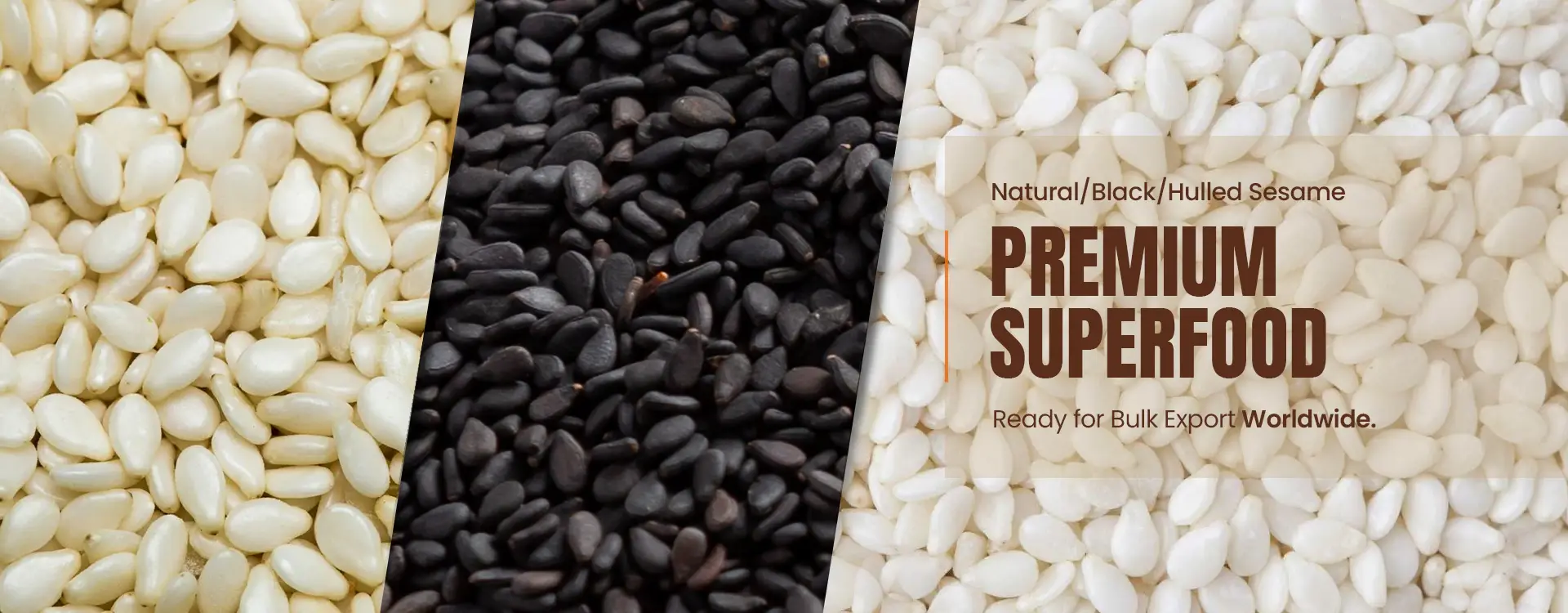 Sesame Seeds from India